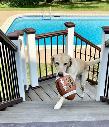 Sandy Point Dental | Implant Restorations, Cosmetic Dentistry and Dentures